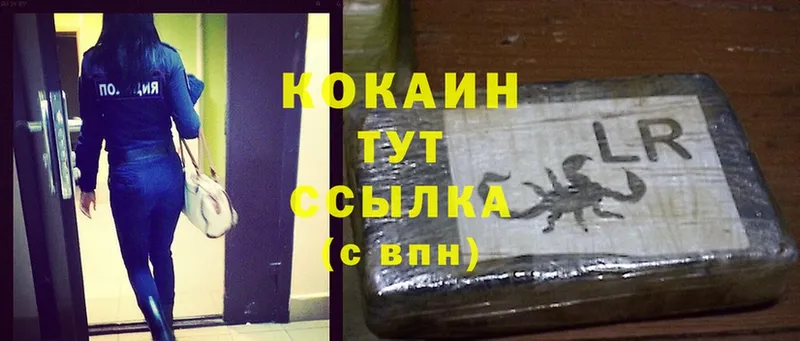 Cocaine Fish Scale  даркнет сайт  Томск 