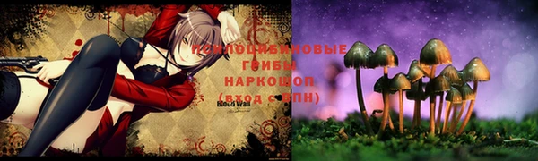 шишки Наволоки