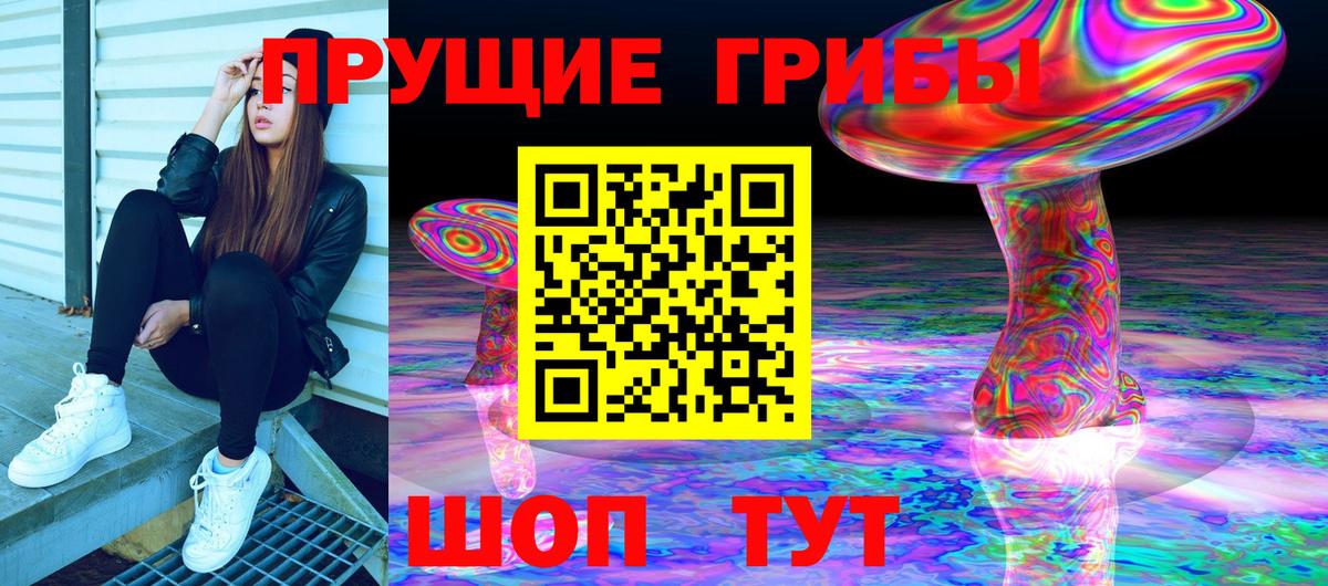 что такое наркотик  Галлюциногенные грибы MAGIC MUSHROOMS  Томск  Вход с VPN  Псилоцибиновые грибы мицелий 