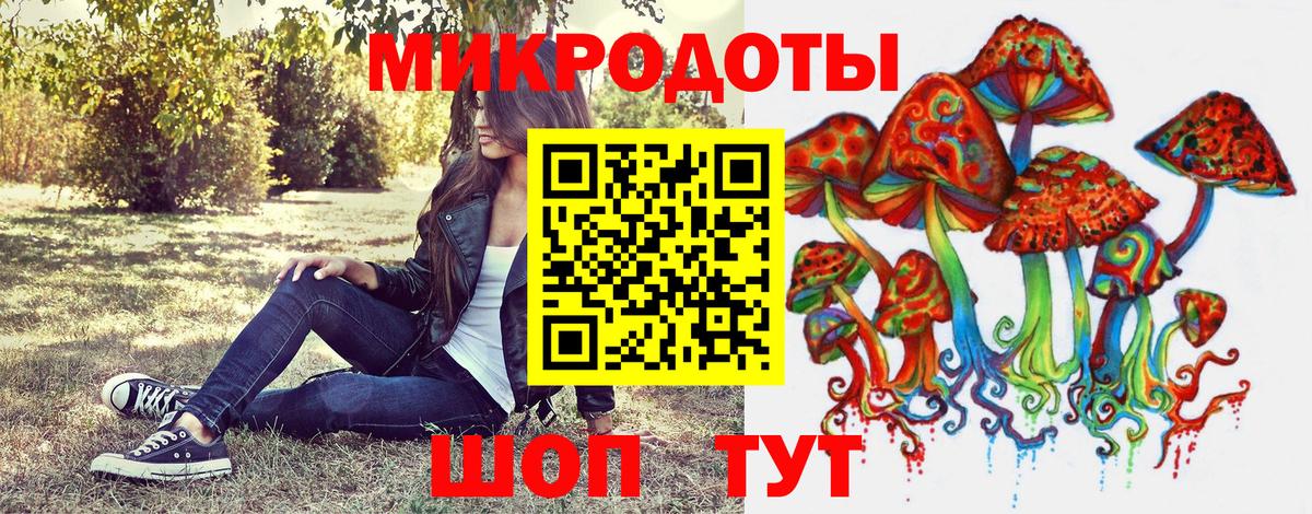 Псилоцибиновые грибы прущие грибы Томск